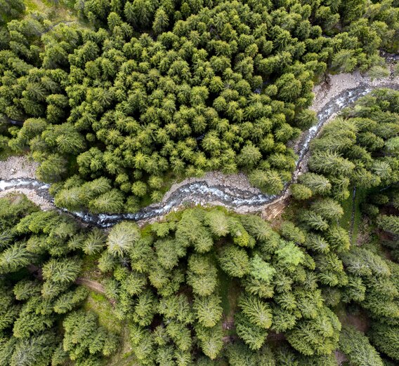 Schmelzbach meanders through the Styrian forests | © Steiermark Tourismus | Tom Lamm