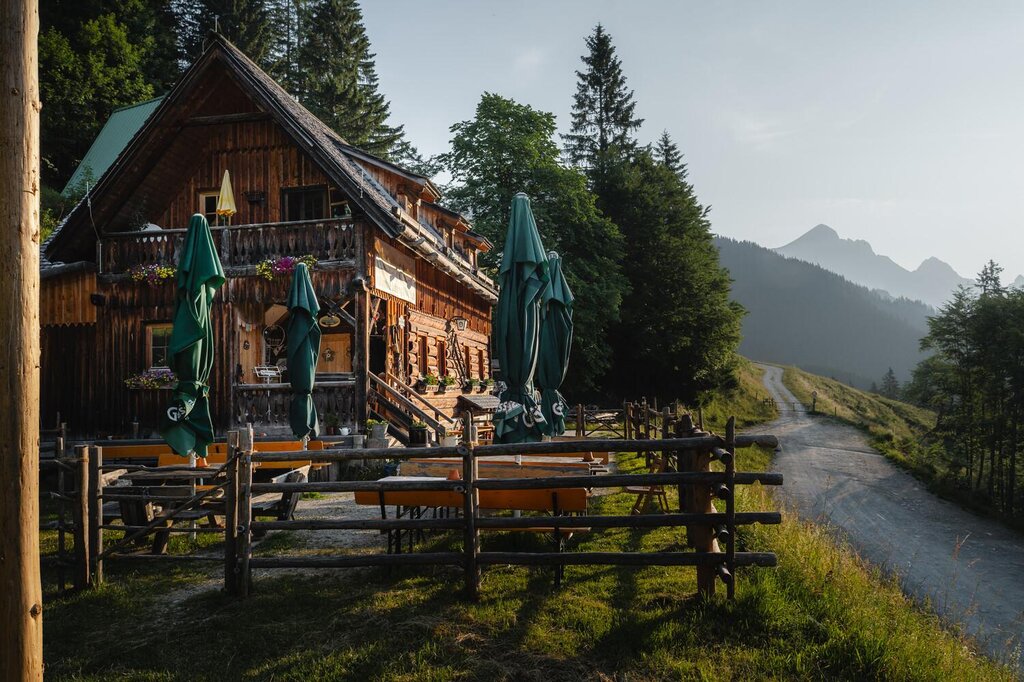 Ardning Alm Hütte in Ardning | Gesäuse