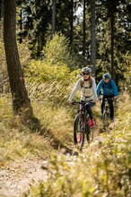 E-bike rental_biker in the forest_Eastern Styria | © Tourismusverband Oststeiermark