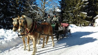 Pferdeschlitten- und Kutschenfahrt im Winter | © Steinbauer